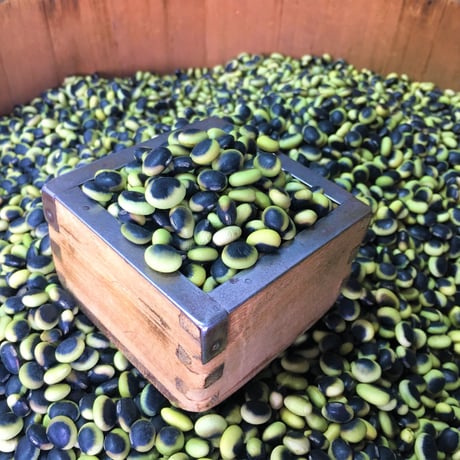 北海道産　くらかけ豆