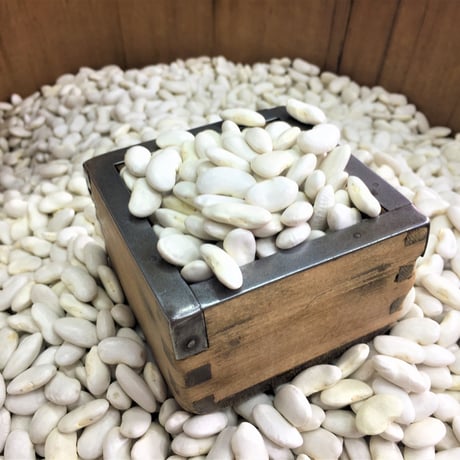 北海道産　白いんげん