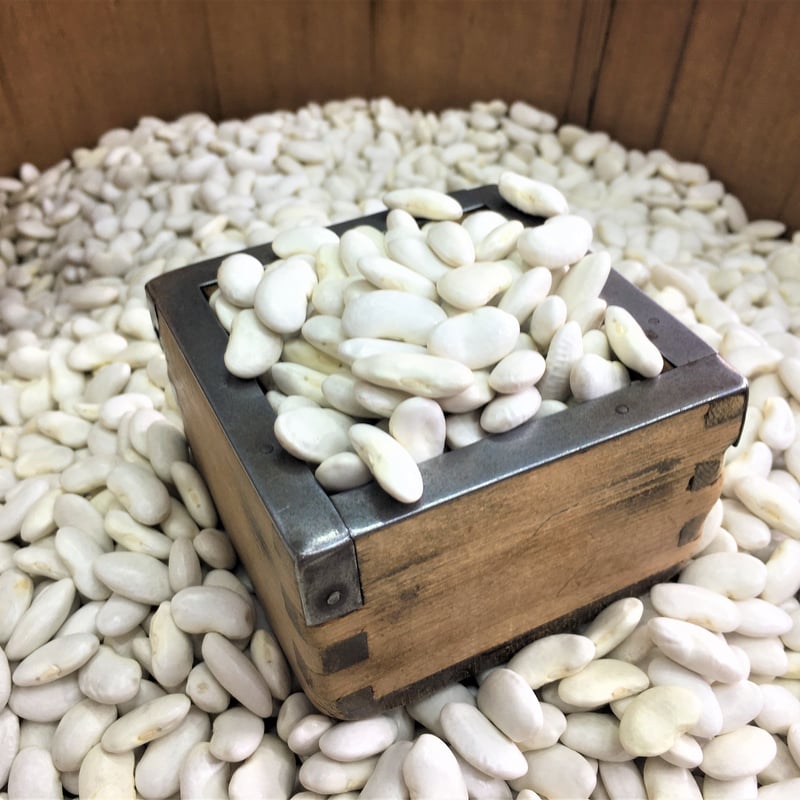 新物 北海道産 白いんげん | 石渡源三郎商店 国産に拘った乾物屋