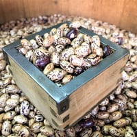 北海道産　中長うずら