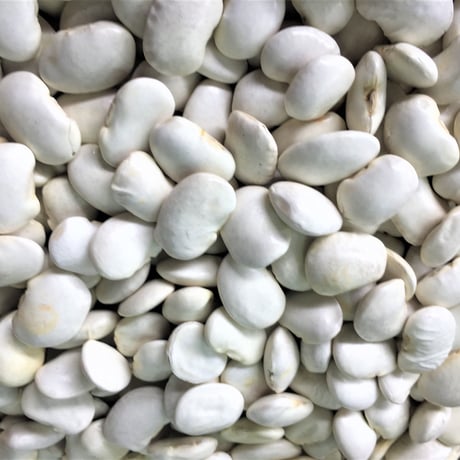 北海道産　美人白花豆