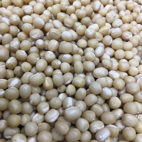 北海道産　白小豆
