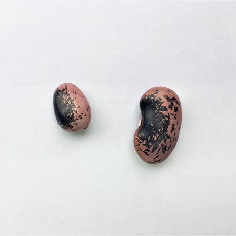 北海道産　紫花豆 令和8年12月新物入荷予定