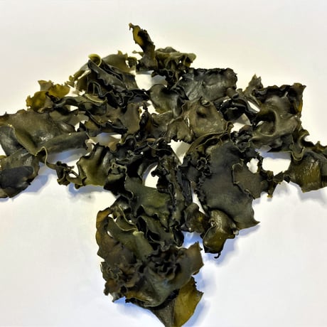 新物　天然　湘南めかぶ　令和9年3月　新物入荷予定