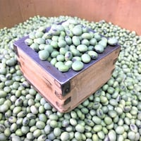 山形県産　ひたし豆