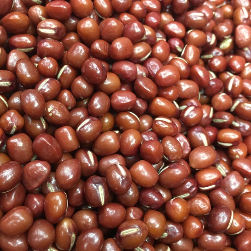 北海道産 とよみ大納言 | 石渡源三郎商店 国産に拘った乾物屋