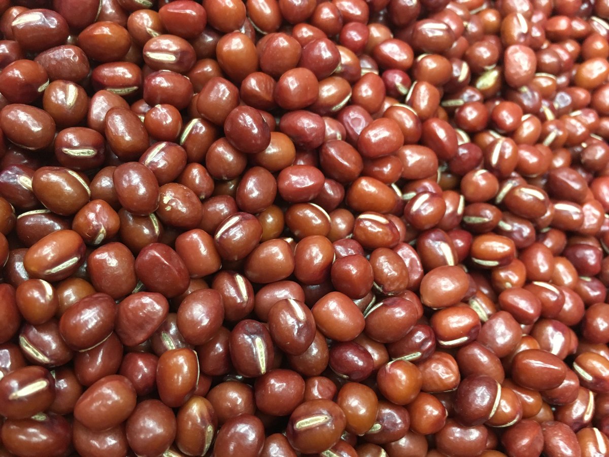 令和6年産　北海道とよみ大納言2等　5kg 令和6年産 北海道とよみ大納言2等 5kg 【公式通販】