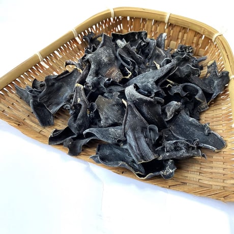 北海道産　天然　猫足昆布　根昆布