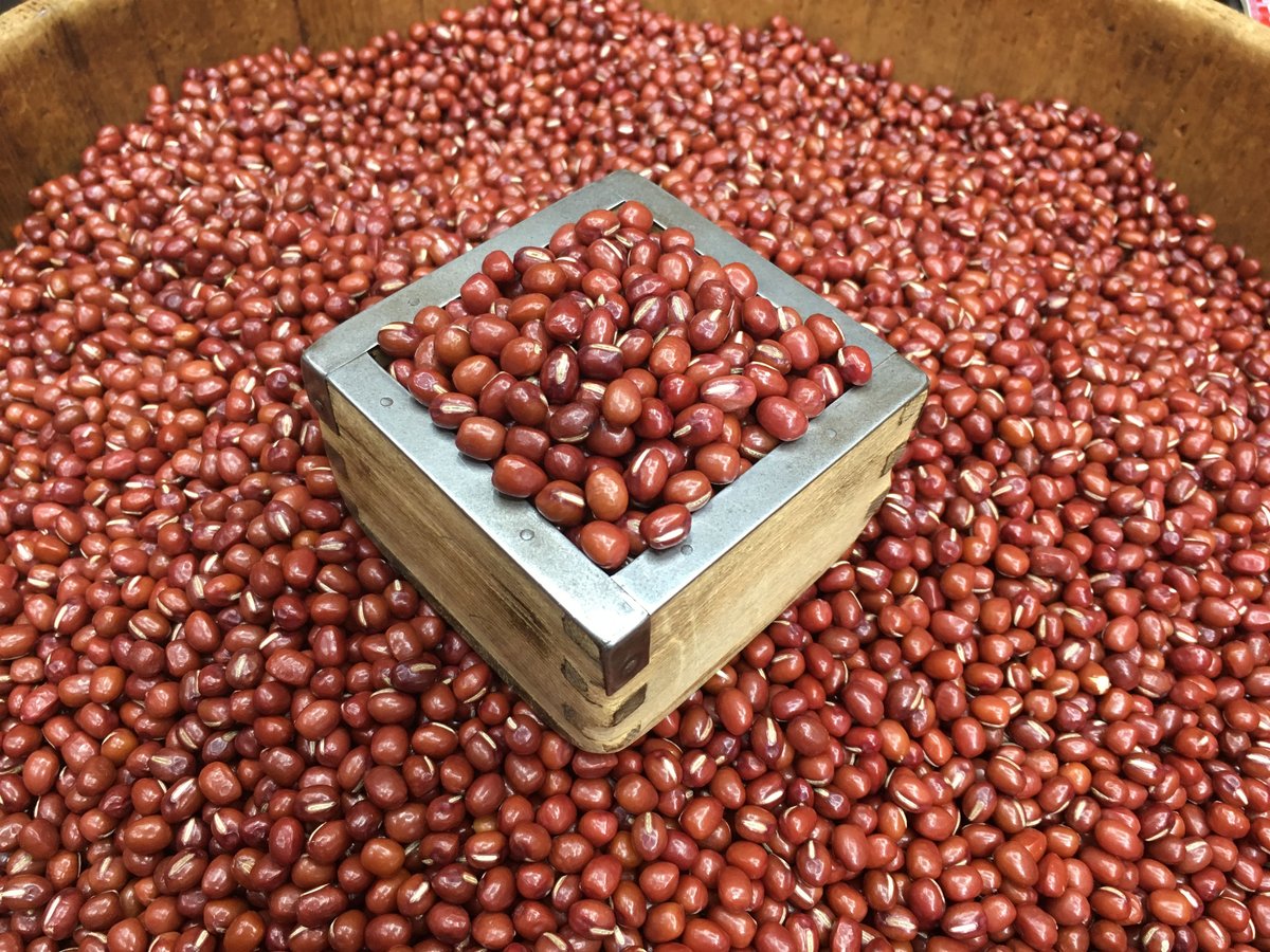 新物 北海道産 とよみ大納言 | 石渡源三郎商店 国産に拘った乾物屋