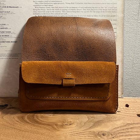 kudu革長財布　Long Wallet (autumn spice/suede/kudu)Lot#271