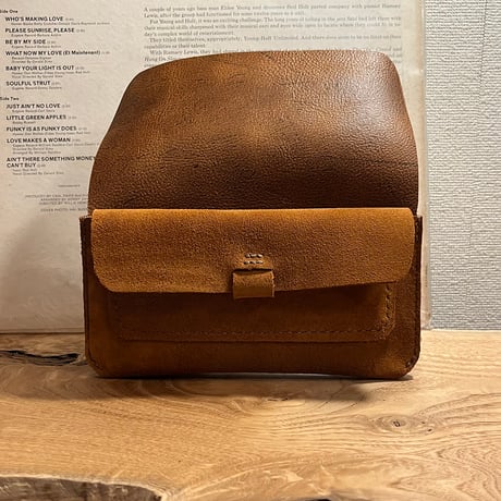 kudu革長財布　Long Wallet (autumn spice/suede/kudu)Lot#264