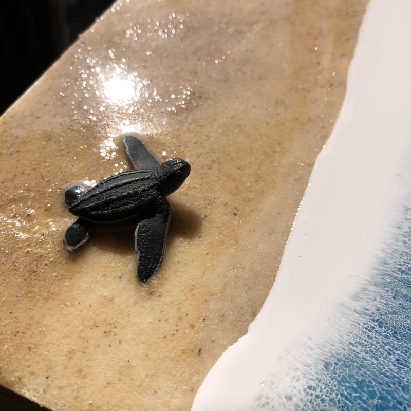 海アート 海亀 | Resin craft Moana