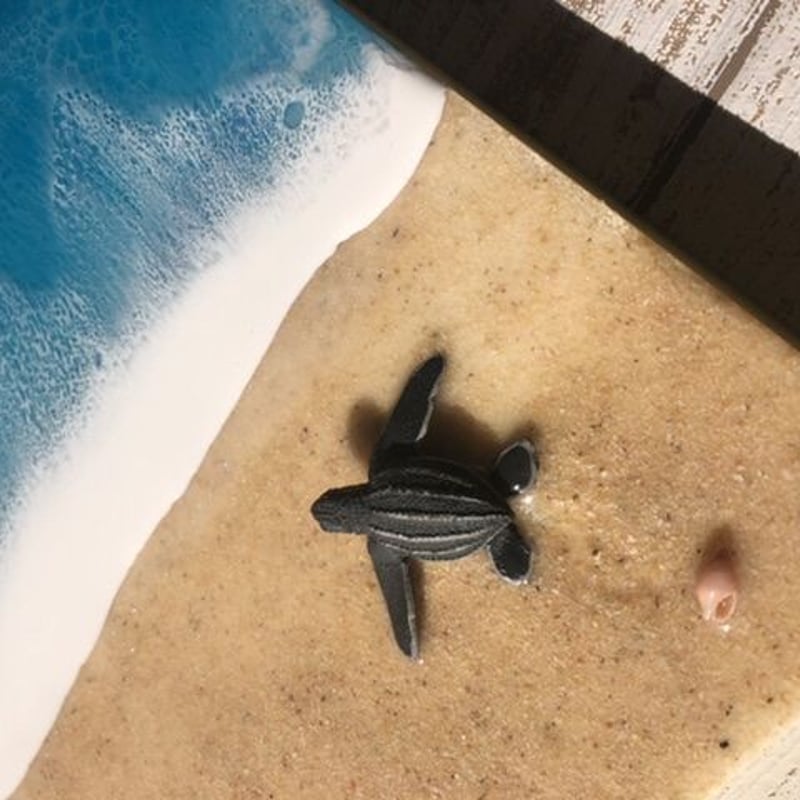 レジンアート海(めぐ) 海アート 海亀 | Resin craft Moana