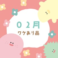 2月訳あり品