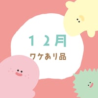 12月訳あり品