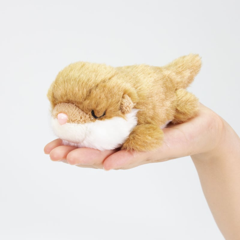 すやすやてのひらBABYカワウソ | AUC ONLINE SHOP