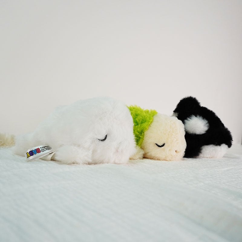 すやすやてのひらBABY カメ | AUC ONLINE SHOP