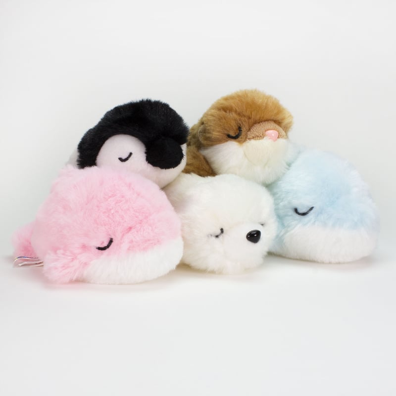 すやすやてのひらBABYカワウソ | AUC ONLINE SHOP