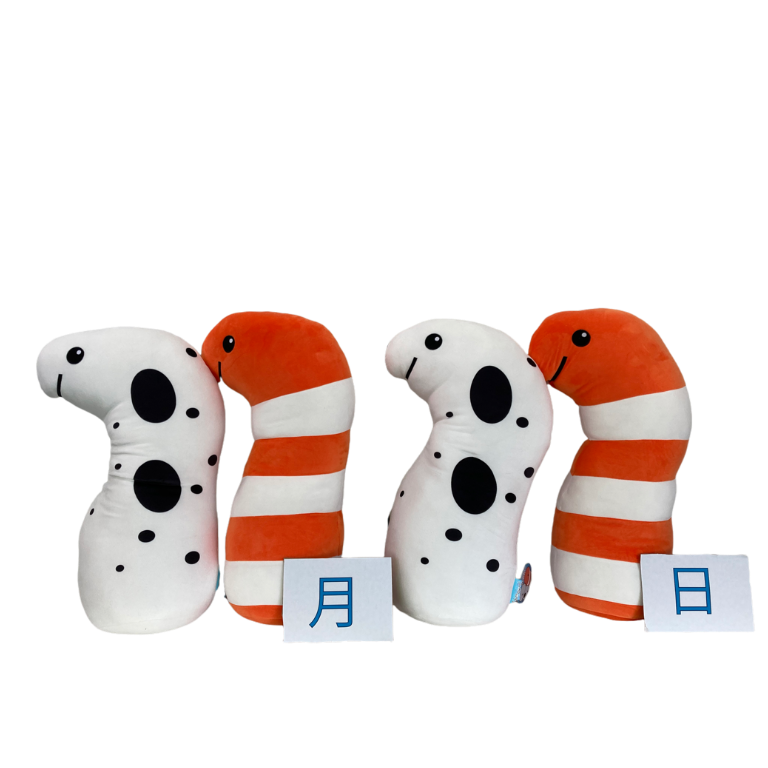 あなごまま 安全靴・作業靴 BOA ローカット ミズノMIZUNO f1ga2413【サン