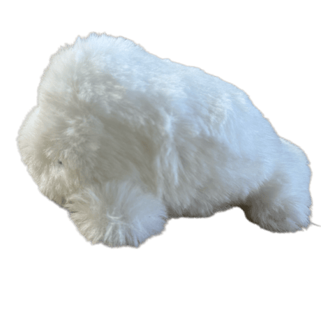 No.464 オーダーマスク 海の生き物 魚 かに クジラ 海 サメ CATEGORY