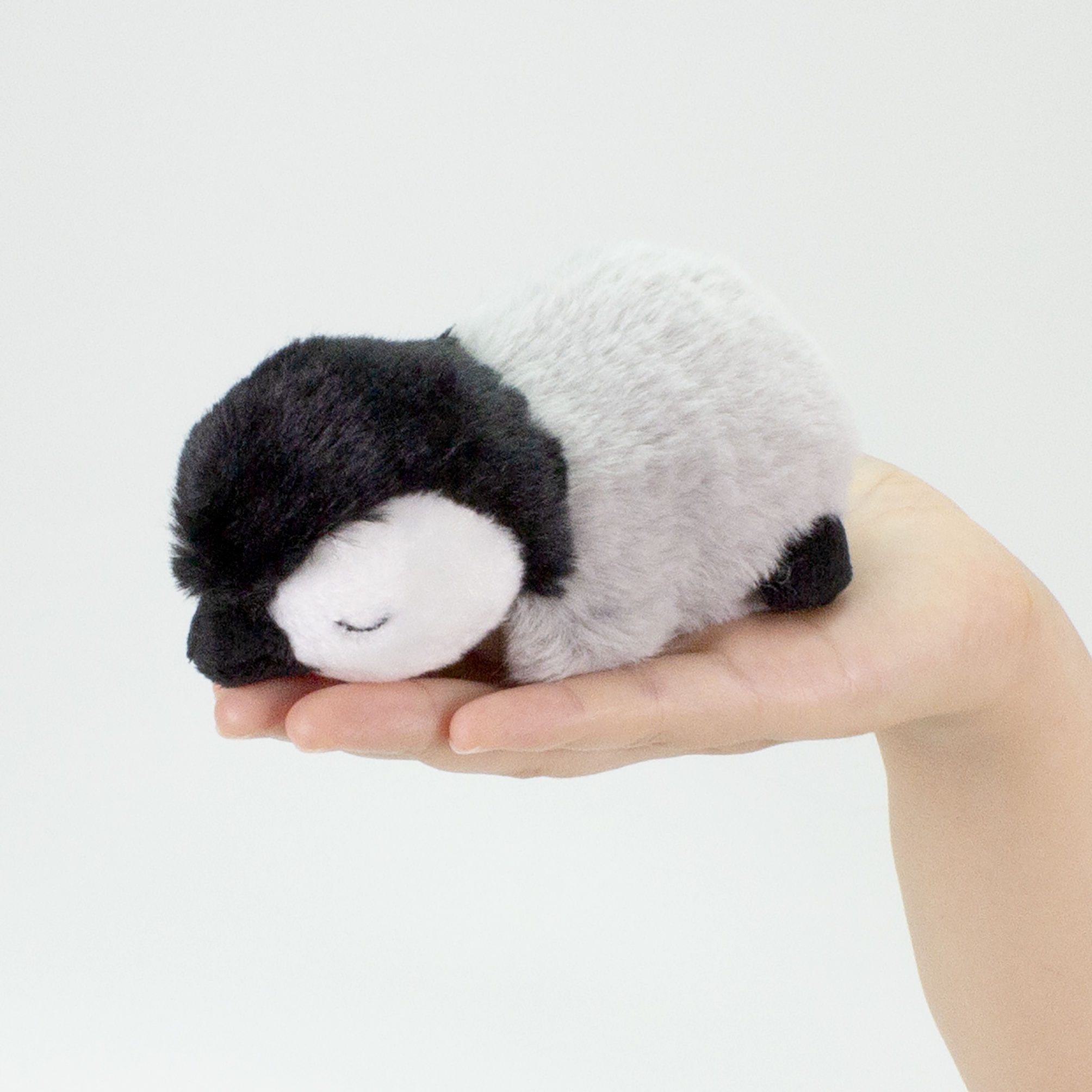 初期販売分 なみなみ 旧作 ペンギンズ すやすやベビー あにまる ボンボン original