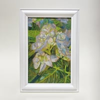 【はがきサイズ原画】紫陽花