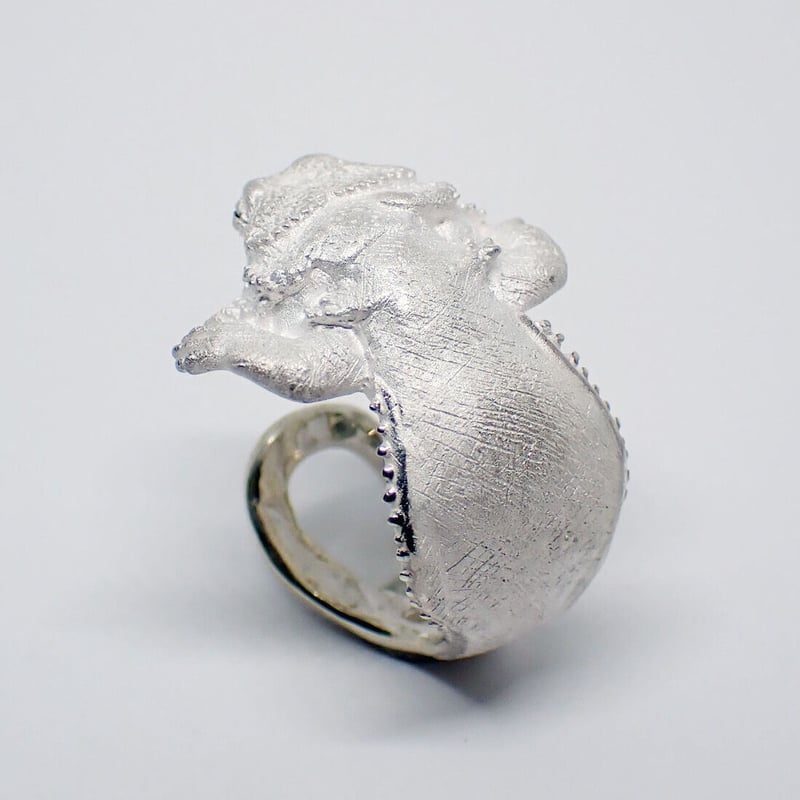 フトアゴヒゲトカゲ居眠りリング(white) | EmiriA online shop