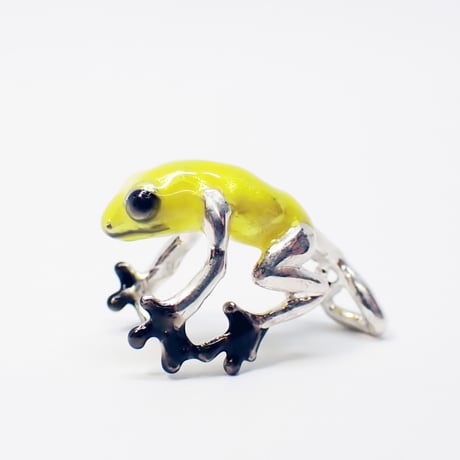 フキヤガエルイヤーカフ