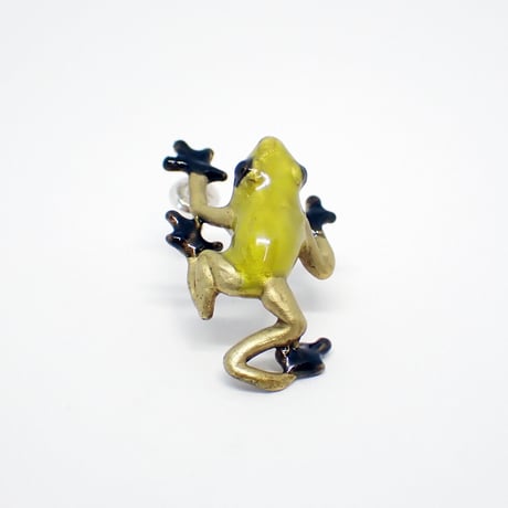 フキヤガエルピアス