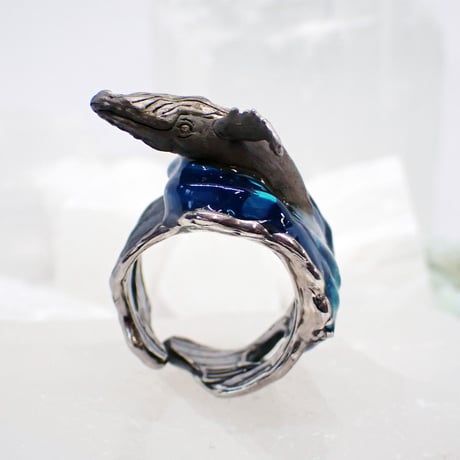 ザトウクジラのブリーチリング