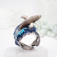 ザトウクジラのブリーチリング