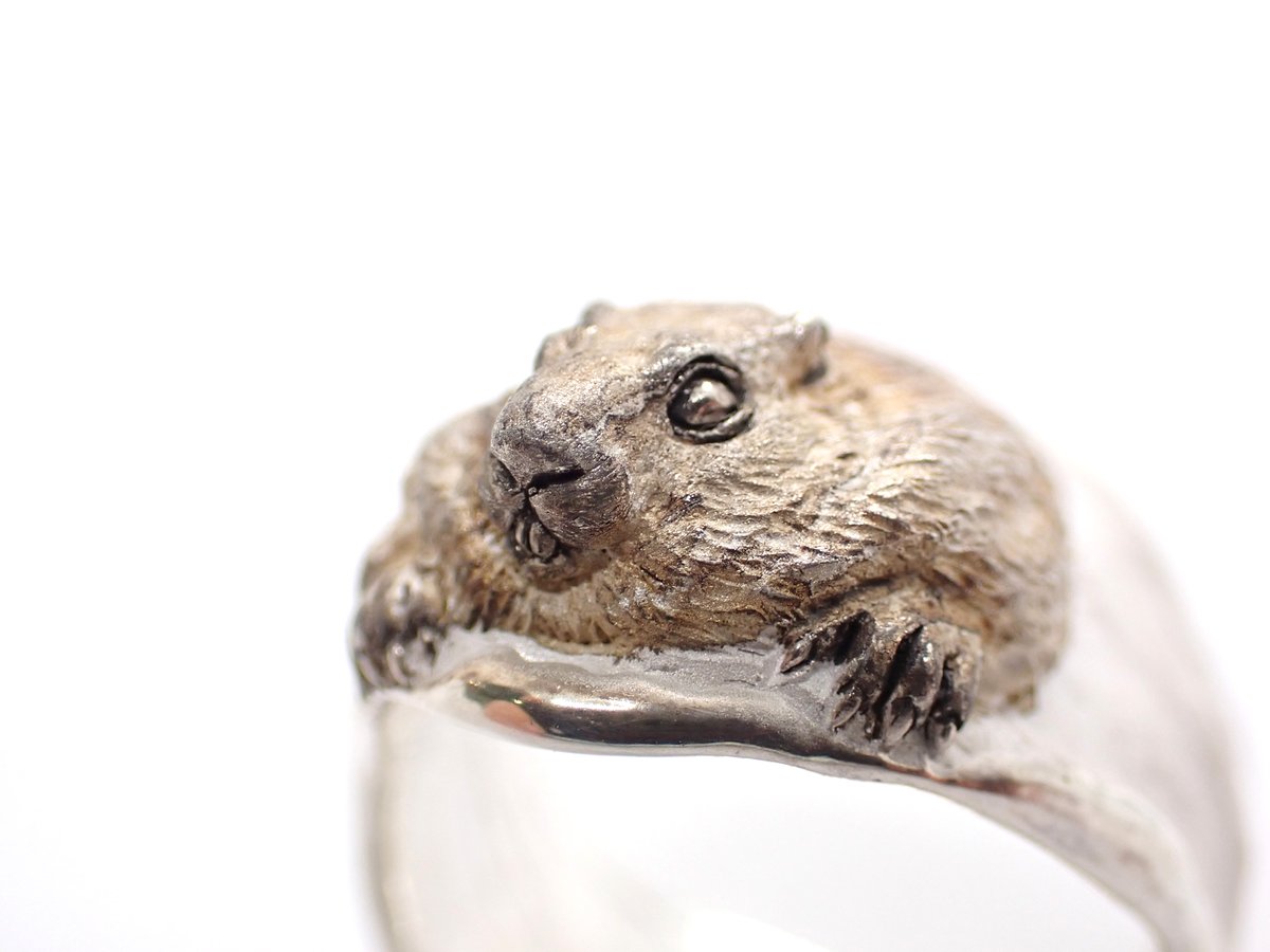 【美品】マーモット　Marmot  ローリング ハウラー ミディアム Amazon.co.jp: [マーモット] バックパック アーバンハウラー