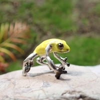 フキヤガエルイヤーカフ
