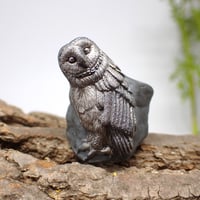 首傾げるメンフクロウリング(black)