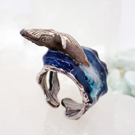 ザトウクジラのブリーチリング