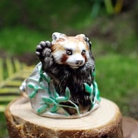 レッサーパンダ威嚇リング