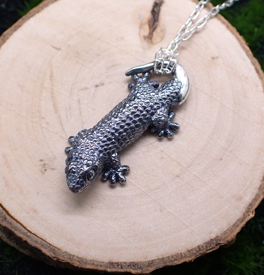 ヤモリさん GUHcPaWaAAAQgTX.jpg