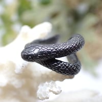 巻き付くウミヘビイヤーカフ(black matte)