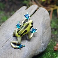 アイゾメヤドクガエルピアス