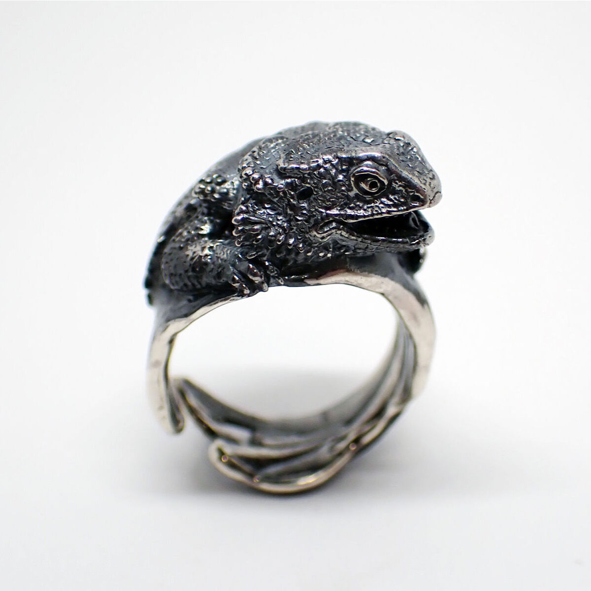 フトアゴヒゲトカゲ フトアゴヒゲトカゲ 完成品-A | Roswell Japan
