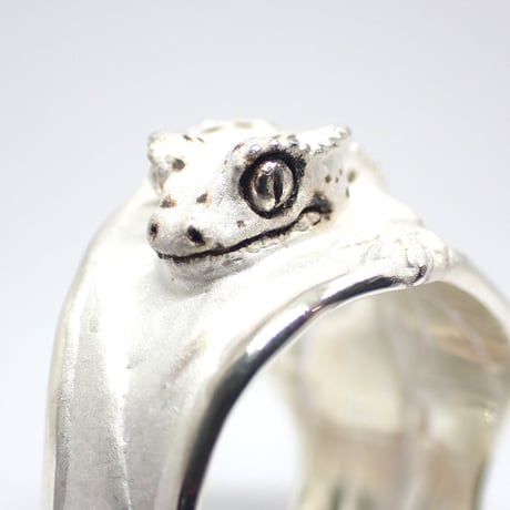 クレステッドゲッコー張り付きリング(white)ダルメシアン