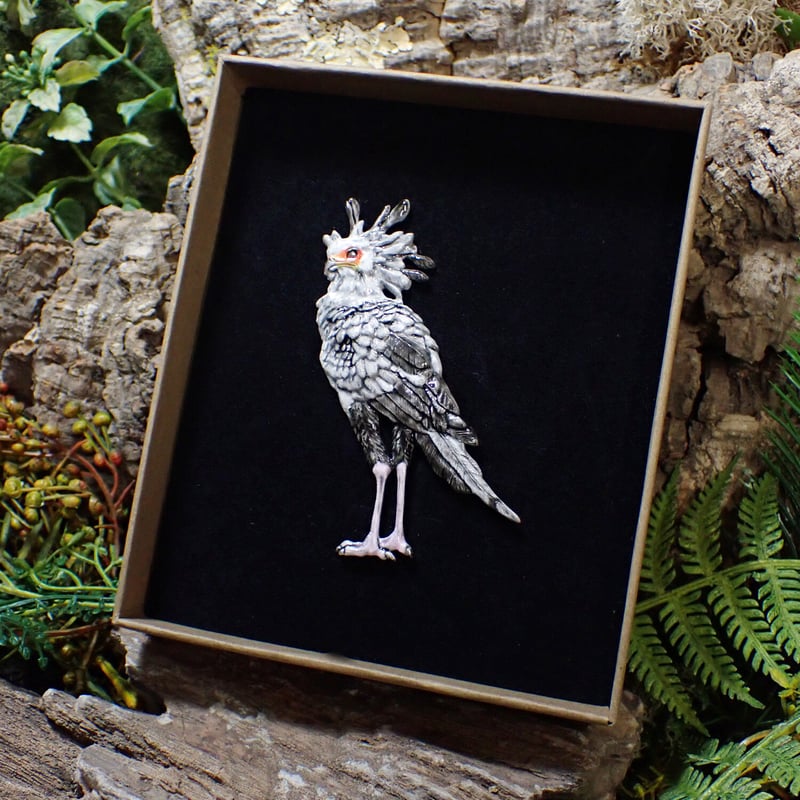 ヘビクイワシ全身ブローチ(color) | EmiriA online shop