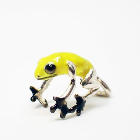 フキヤガエルイヤーカフ