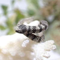 巻き付くウミヘビイヤーカフ(white＆black)