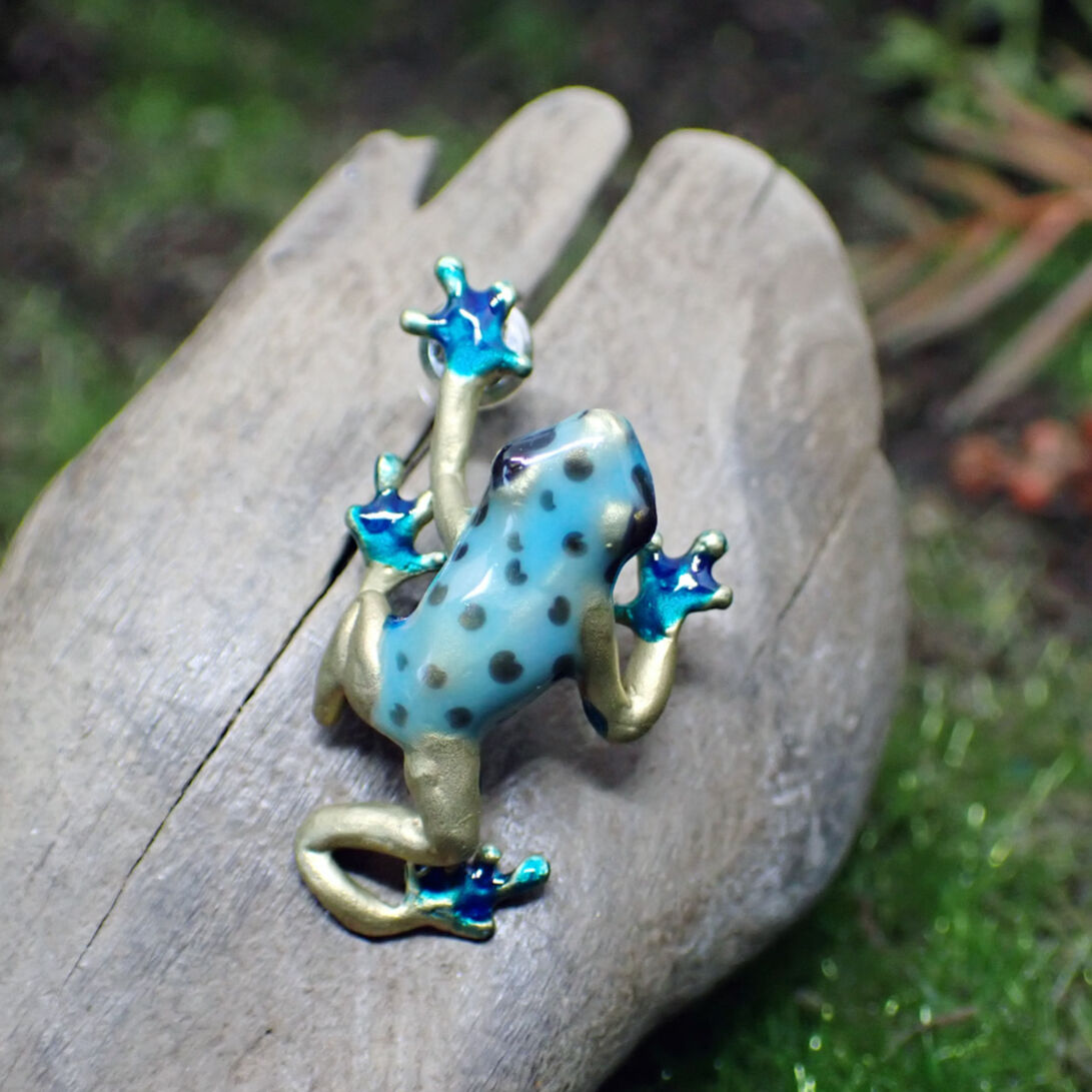 羊毛コバルトヤドクガエル ネイチャーズ北名古屋店 本日もオープンです☁️ ヤドクガエルの大型種