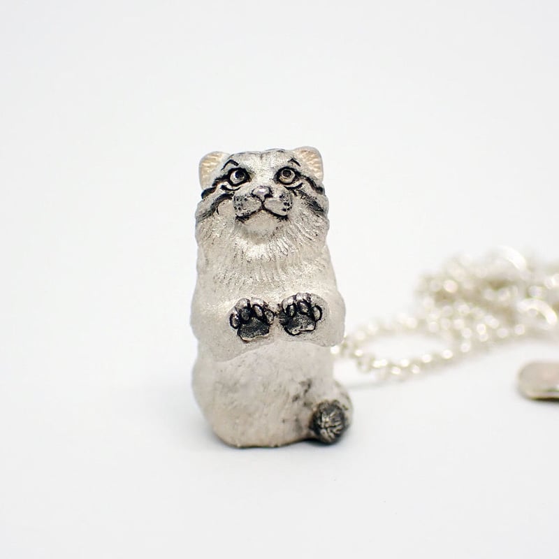 マヌルネコ 動物図鑑/マヌルネコ(モウコヤマネコ)