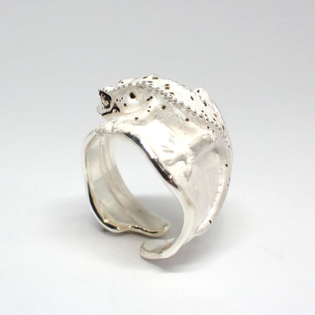 クレステッドゲッコー張り付きリング(white)ダルメシアン