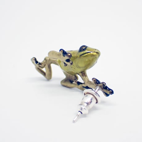 フキヤガエルピアス