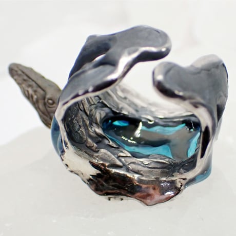 ザトウクジラのブリーチリング