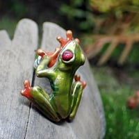 アカメアマガエルピアス